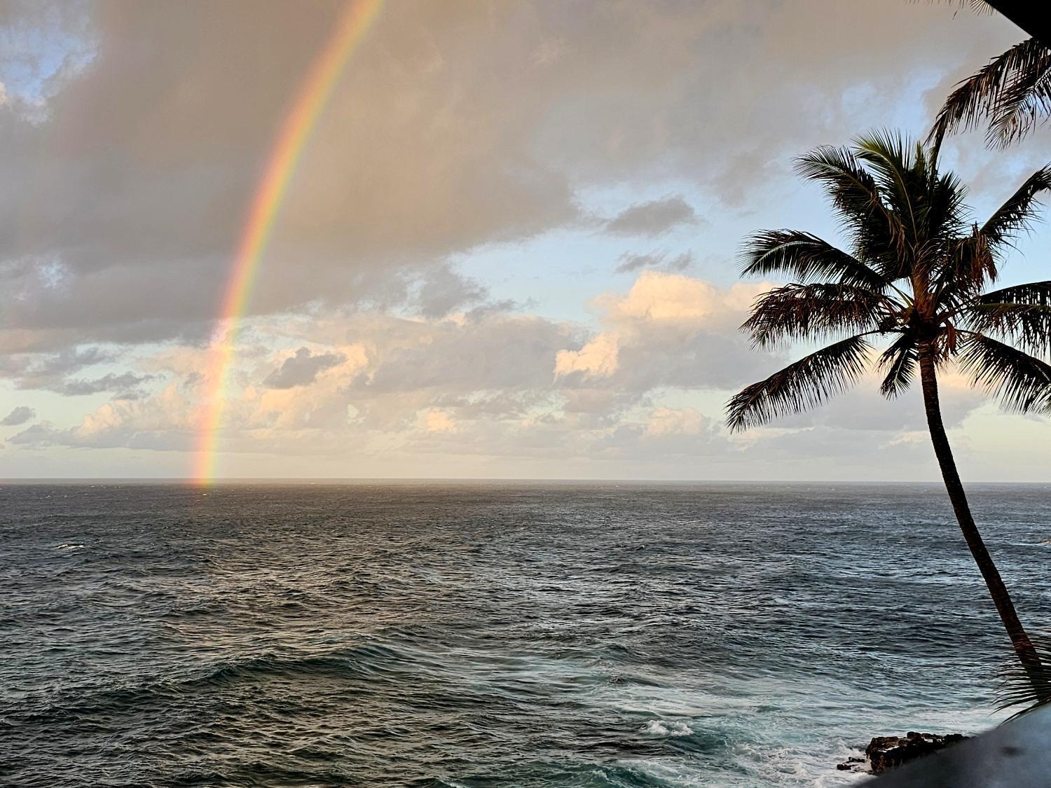Castle Po'Ipu Shores Koloa Dış mekan fotoğraf